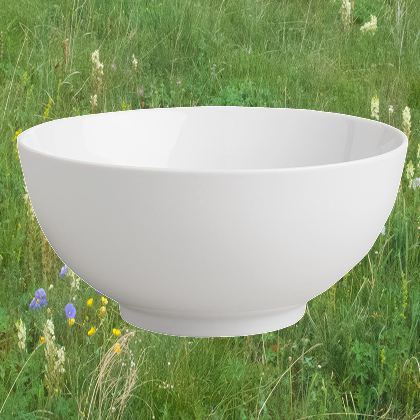 bowl